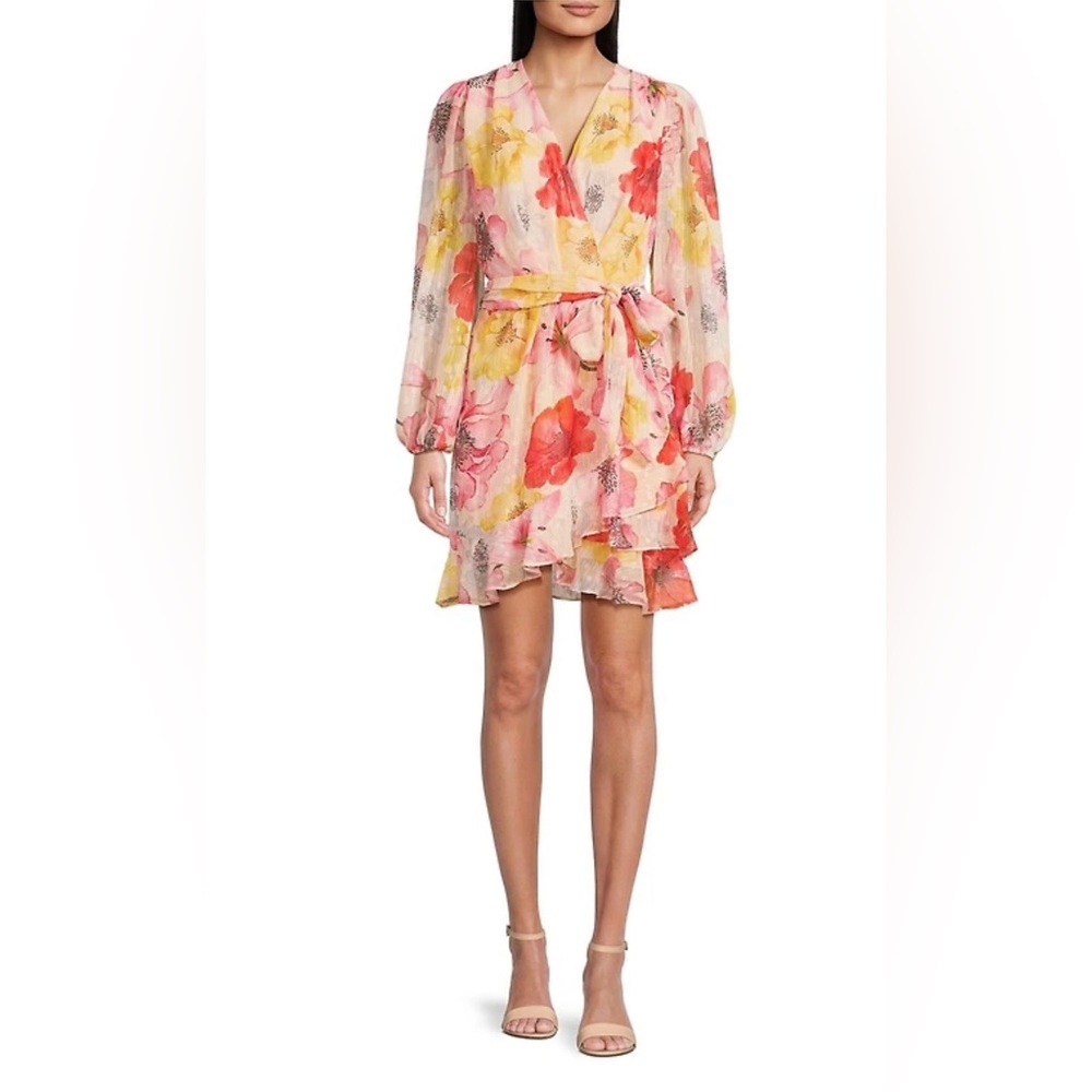 Alex Marie Chiffon Dress